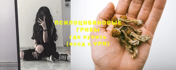 амф Нефтегорск
