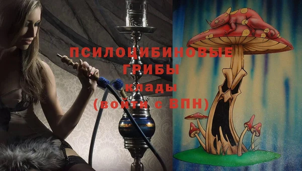 амф Нефтегорск