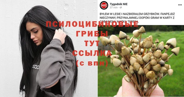 амф Нефтегорск